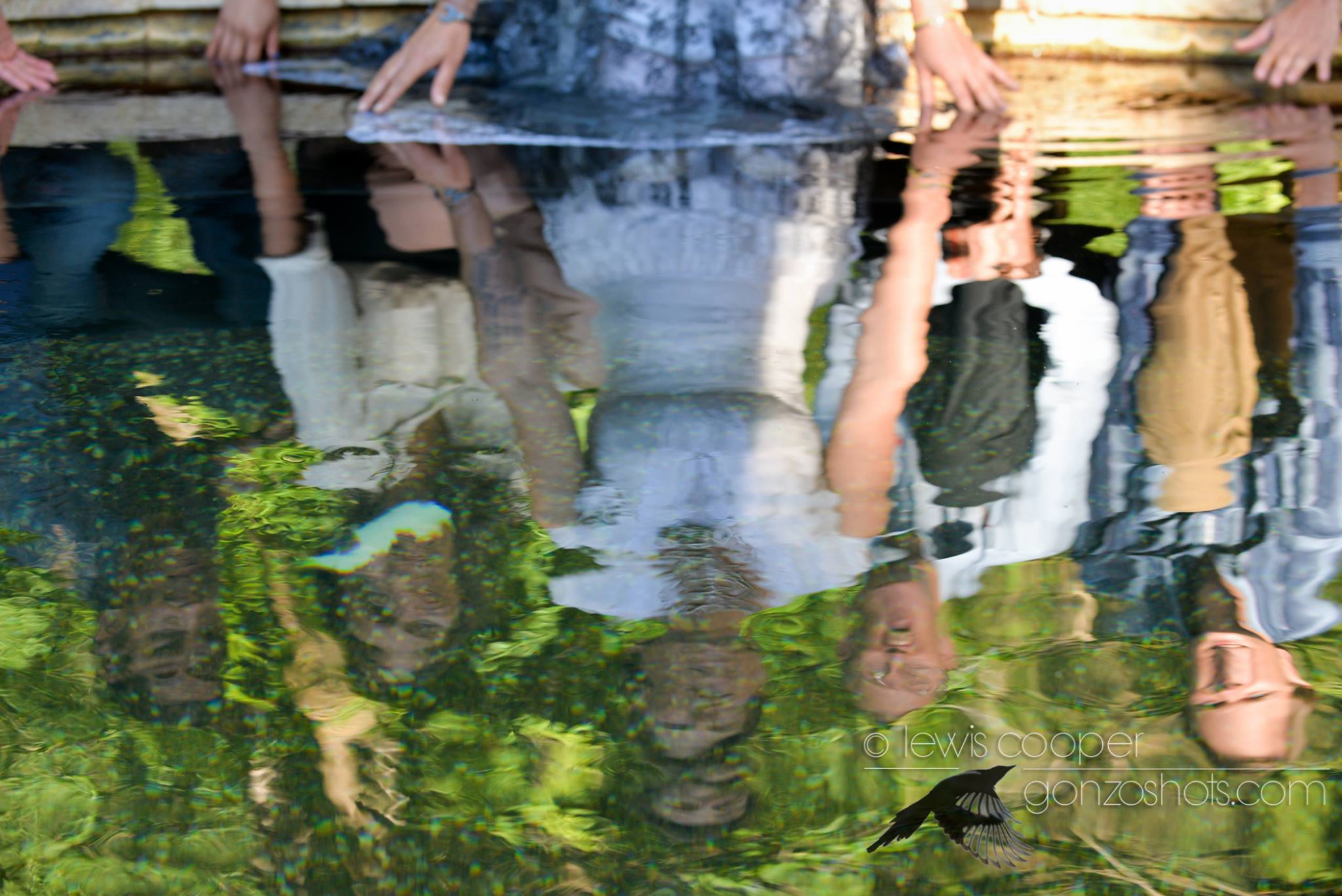 LET-THEM-ROAR-Hot-Springs-Reflection.jpg