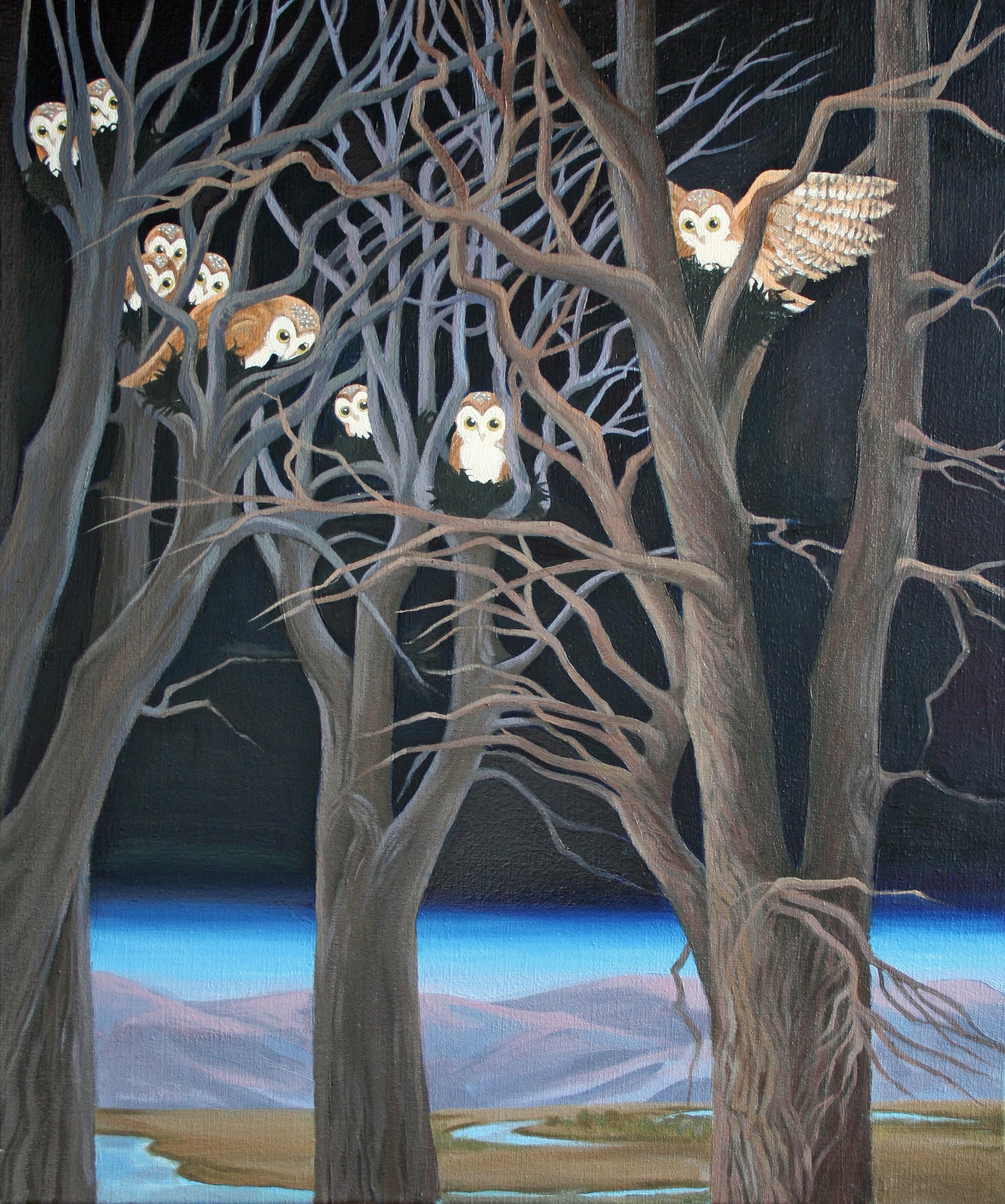 JPA - TD - Owls in the Cottonwoods - 20x24.jpg