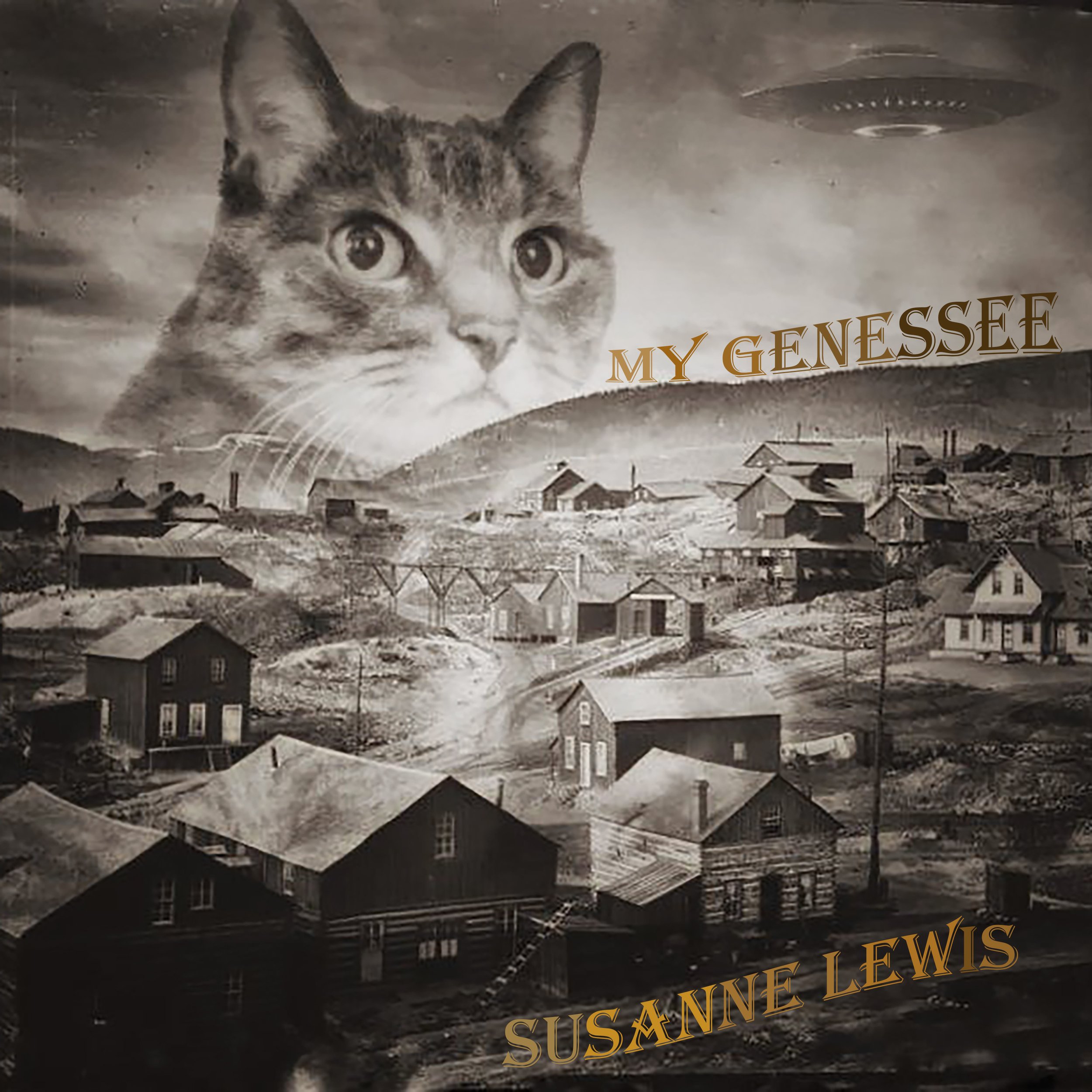 Susanne Lewis My Genessee cover art1.jpg