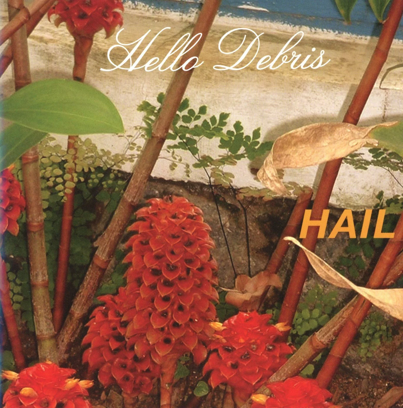 Hail - Hello Debris