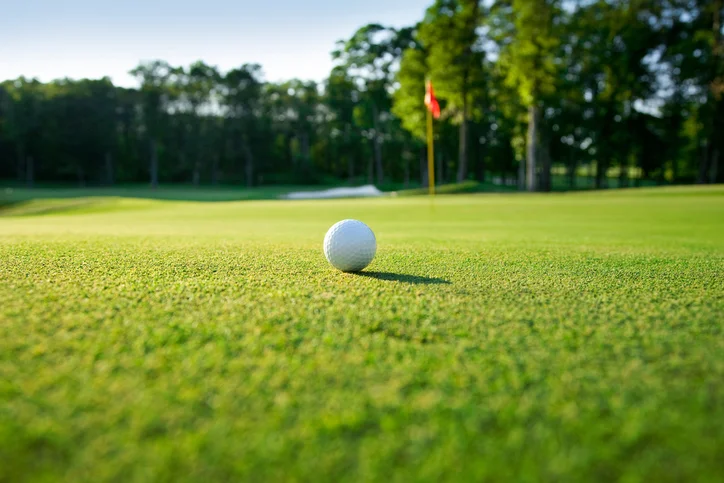 H. Haney Golf Academy - Photo 2