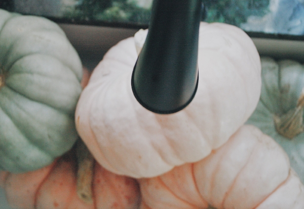 faucet and pumpkins in sink