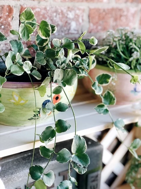 charmingwaystodecoratewithflowersinspringandsummerroundup.jpg