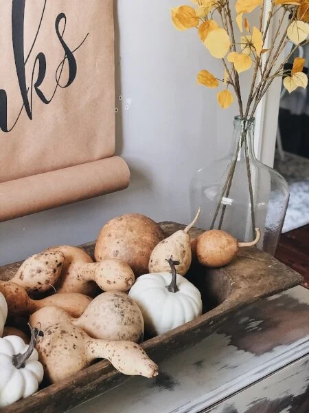 gourds+++pumpkins+in+dough+bowl.jpg