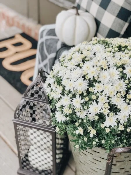 mums+++halloween+vignette.jpg