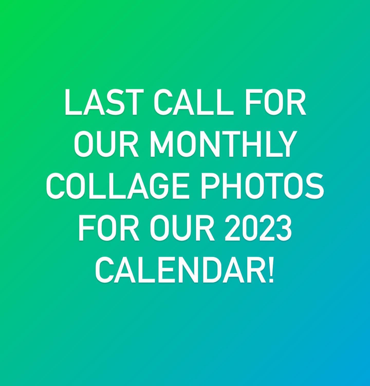 We want to include your Nashville Cav in our 2023 Calendar! If you&rsquo;d like to be included, please email us a photo of your Cav(s) to nashvillecavalierscalendar@gmail.com
We need all photos by Sunday, October 16 by 9pm. (Example of the monthly co