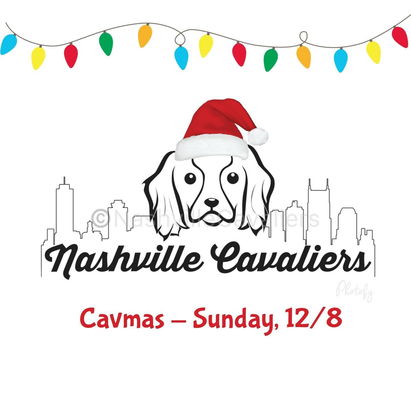 Check your email! The link to grab your Cavmas ticket is live and all the details are included! See y&rsquo;all Sunday! 🐶🎉🎄🎁🎅🏻 #nashvillecavaliers #cavmas