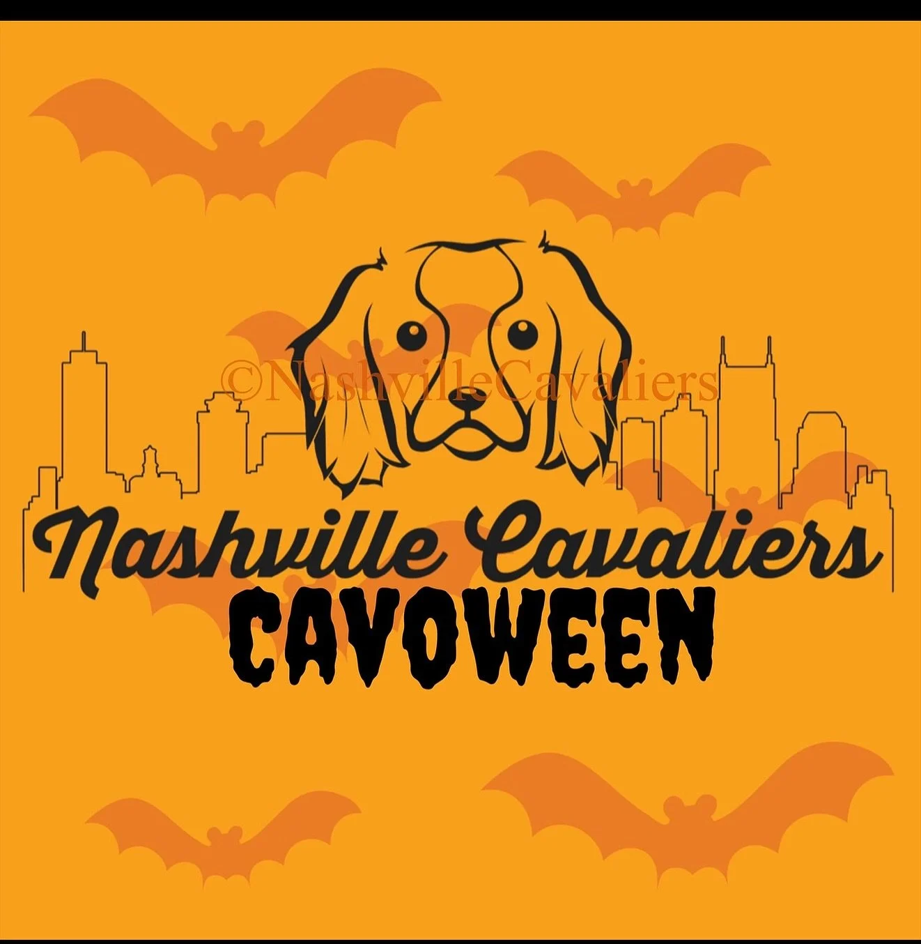 Cavoween is tomorrow! Don&rsquo;t forget your dog&rsquo;s costume! See y&rsquo;all tomorrow! PS - More info in your email! 🐶🎉🎃🍂🖤🤍🧡 #nashvillecavaliers