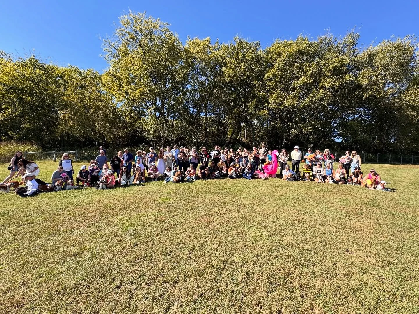 Cavoween 2025 🐶🎃🎉 We had a wonderful day with our squad celebrating Cavoween. We had 74 humans and 63 Cavs pawty with us today. Huge thank you to @fleetsfabrics for joining us today! Until next time pals! 🐶🎃👻🧡🎉📸 #nashvillecavaliers #cavoween
