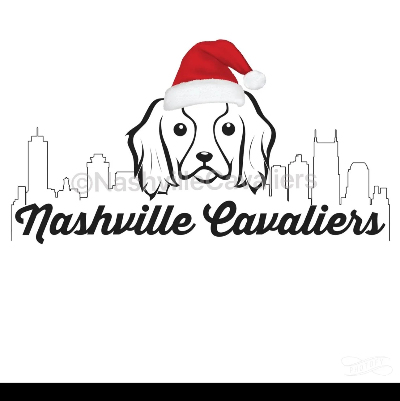 Wising all our furrriends a very Merry Cavmas! We hope you have a wonderful day with your loved ones! 🐶❤️🎄🎅🏻🎁 #nashvillecavaliers