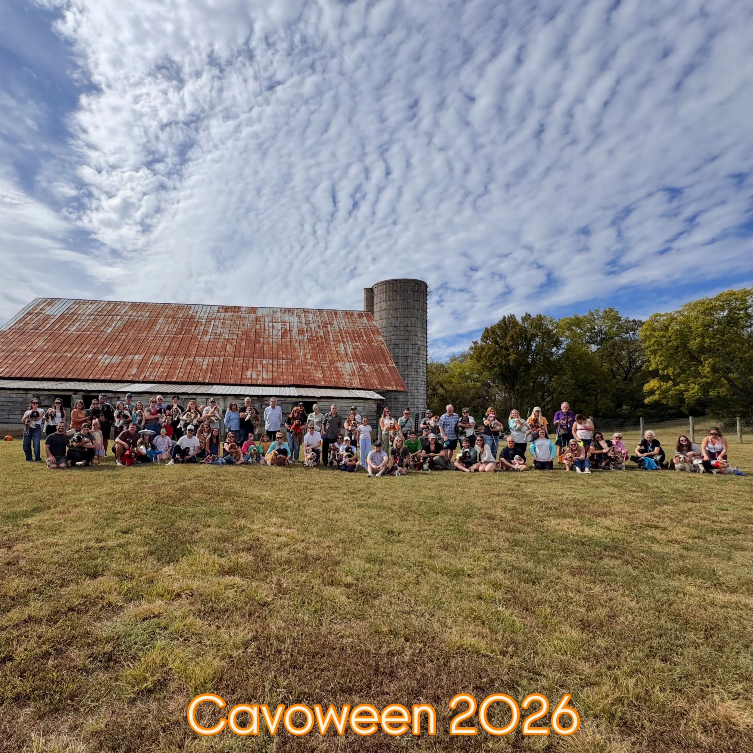 Cavoween 2026 🐶🎃🎉 We had a wonderful day with our squad celebrating Cavoween. We had 70 humans and 49 Cavs pawty with us today. Until next time pals! 🐶🎃👻🧡🎉📸 #nashvillecavaliers #cavoween