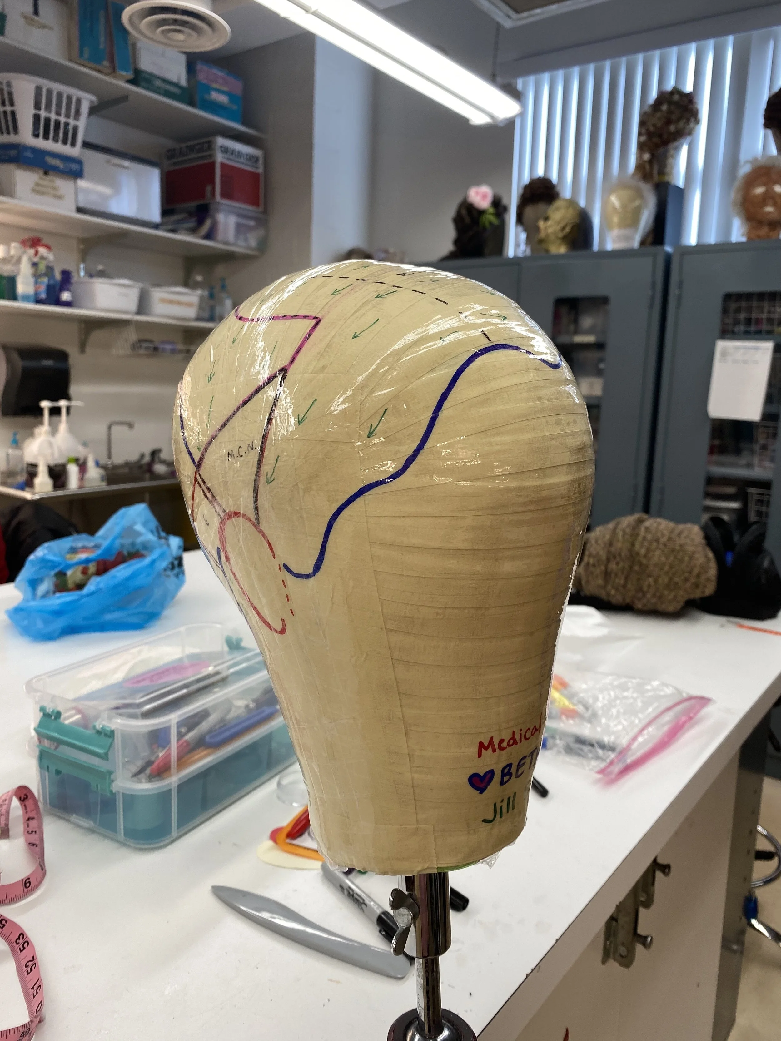 med wig 1.jpg