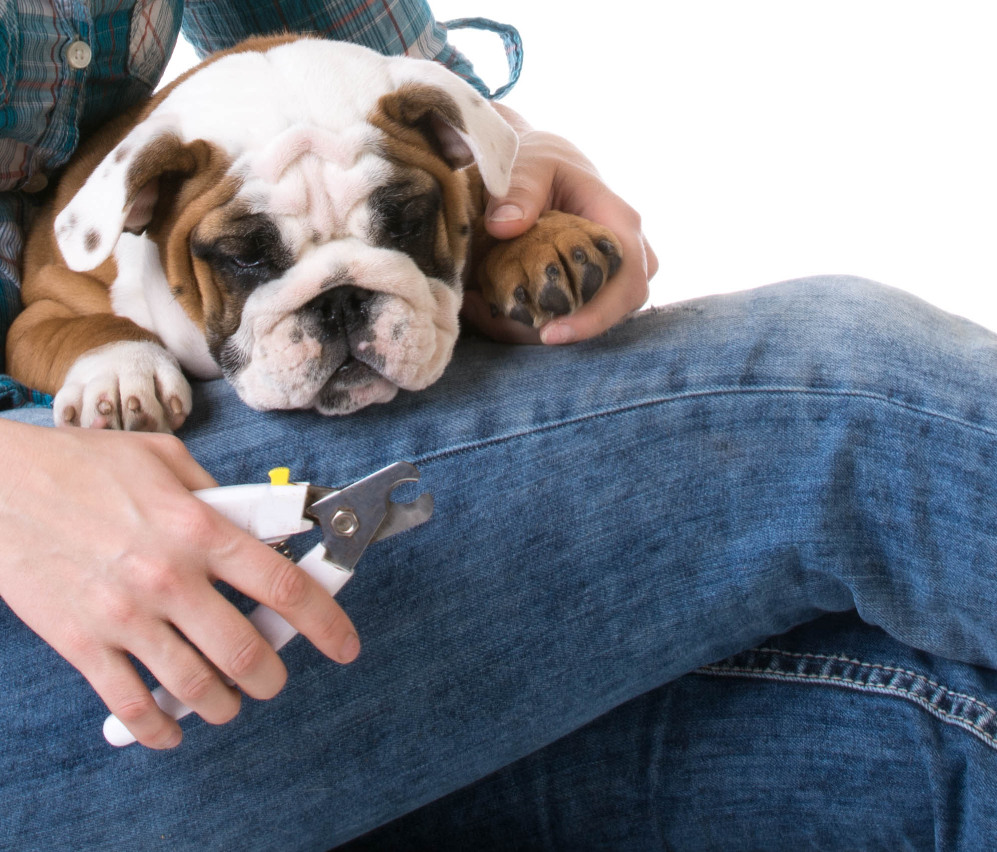 Photo by WilleeCole/iStock / Getty Images