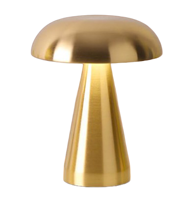 Portable LED Desk Lamp