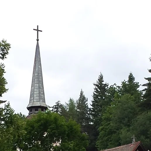 Learning from those walking out of war into peace