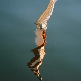 You want a History or a Past