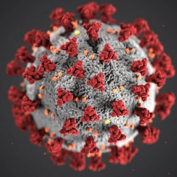 Waging Peace in the Age of Coronavirus