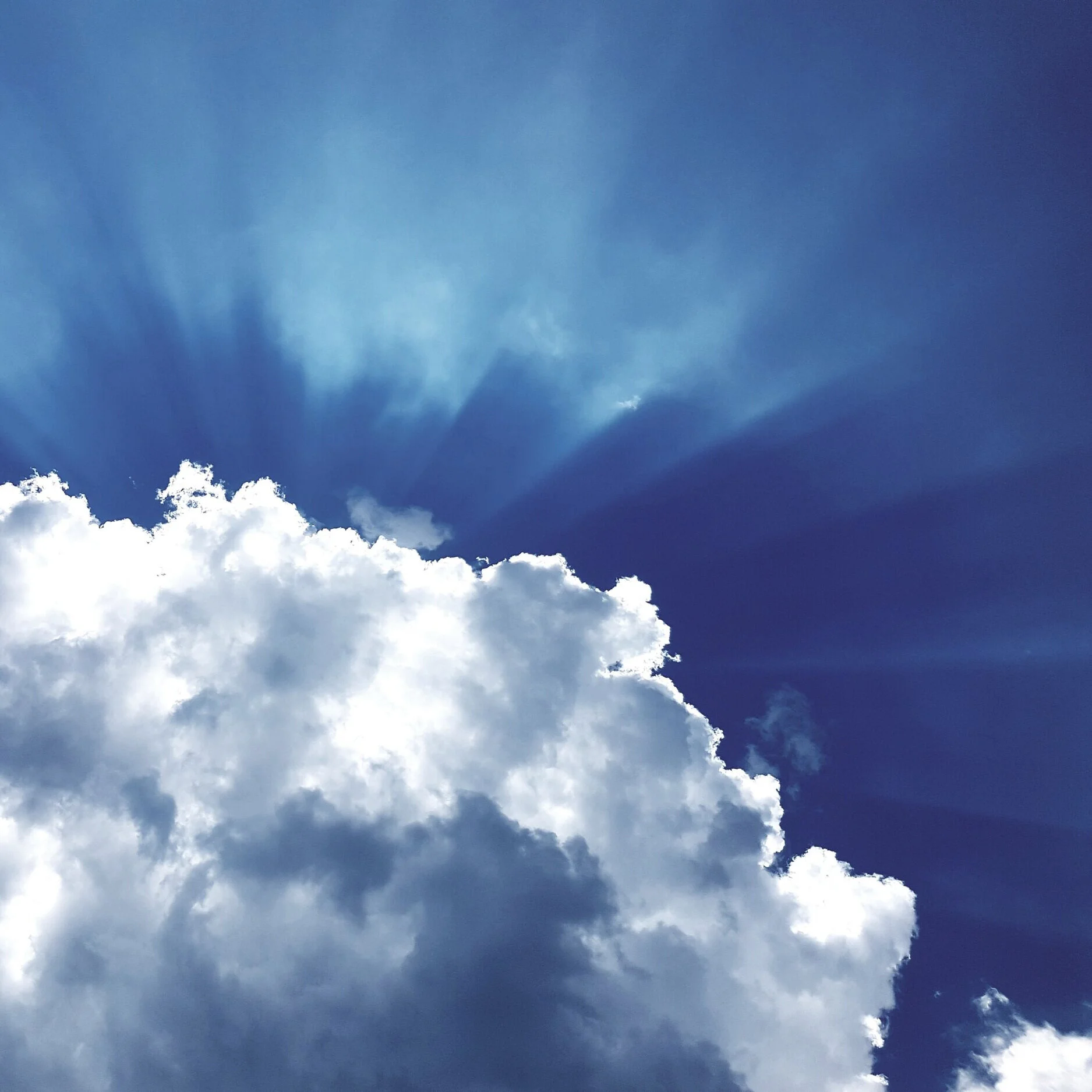 Holding Fast to Hope