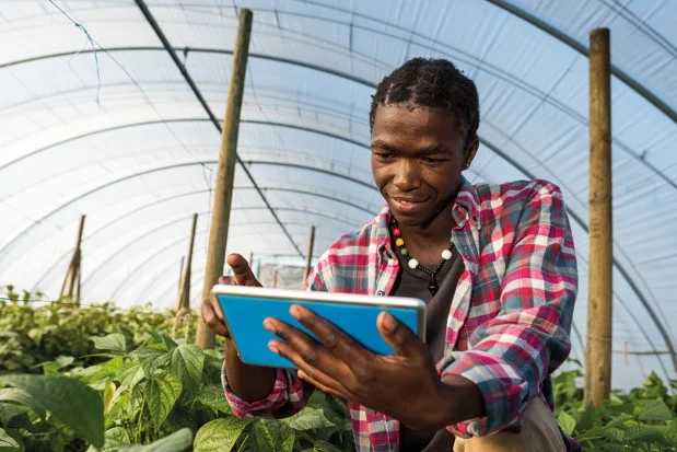 GT Review: Fintech startups to provide cryptocurrency loans to African farmers