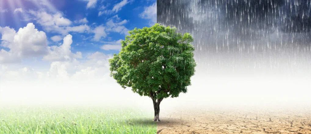 Information Age: Top 5 technologies that will transform the Fintech sector in 2020