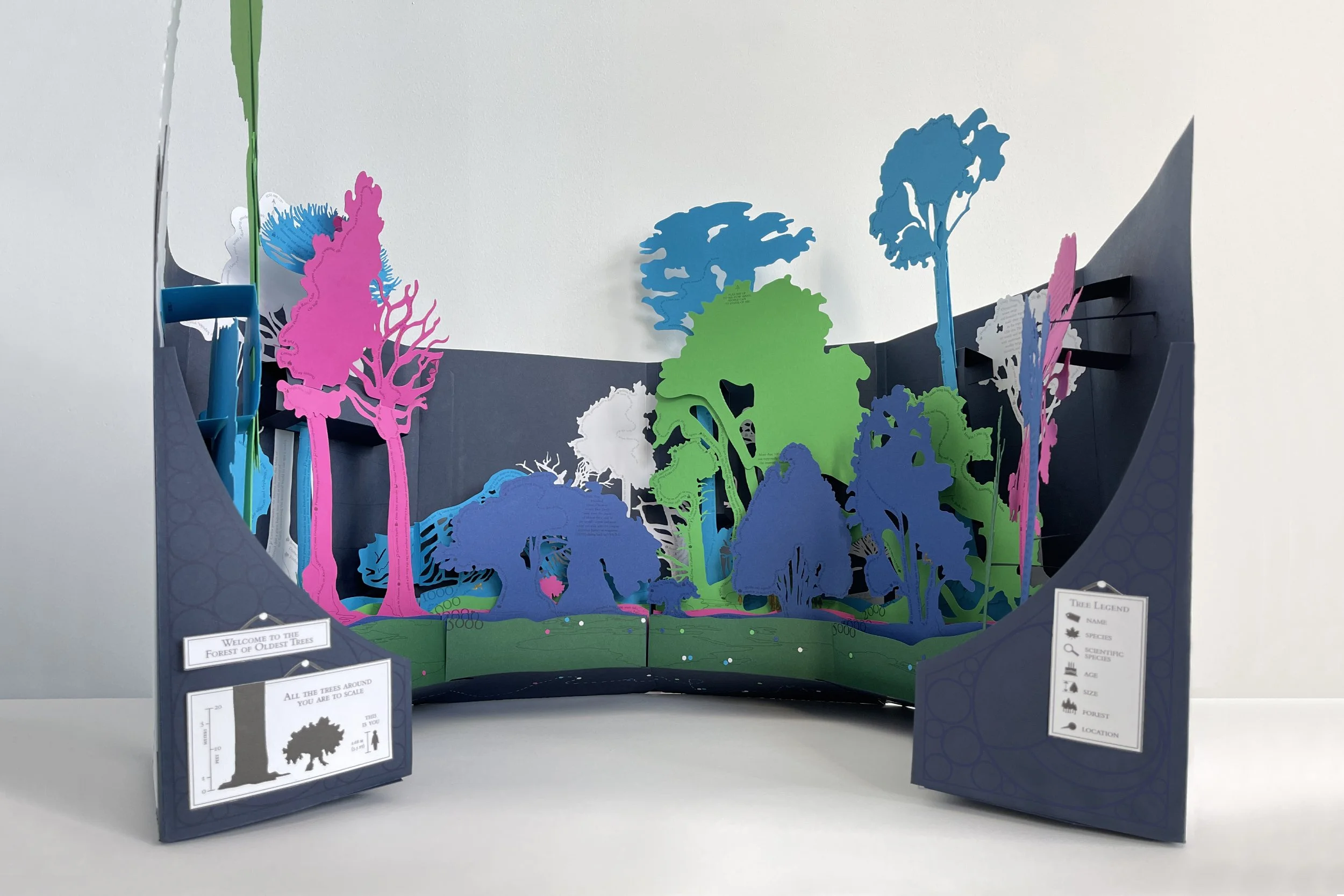  OSS Edition 003  The Forest of Oldest Trees  is sustainably made with 100% waste paper and packaged with 80-100% recycled and reused materials.   Book  Printed on Colorset Colorset is manufactured from 100% recycled post-industrial fibres and has be