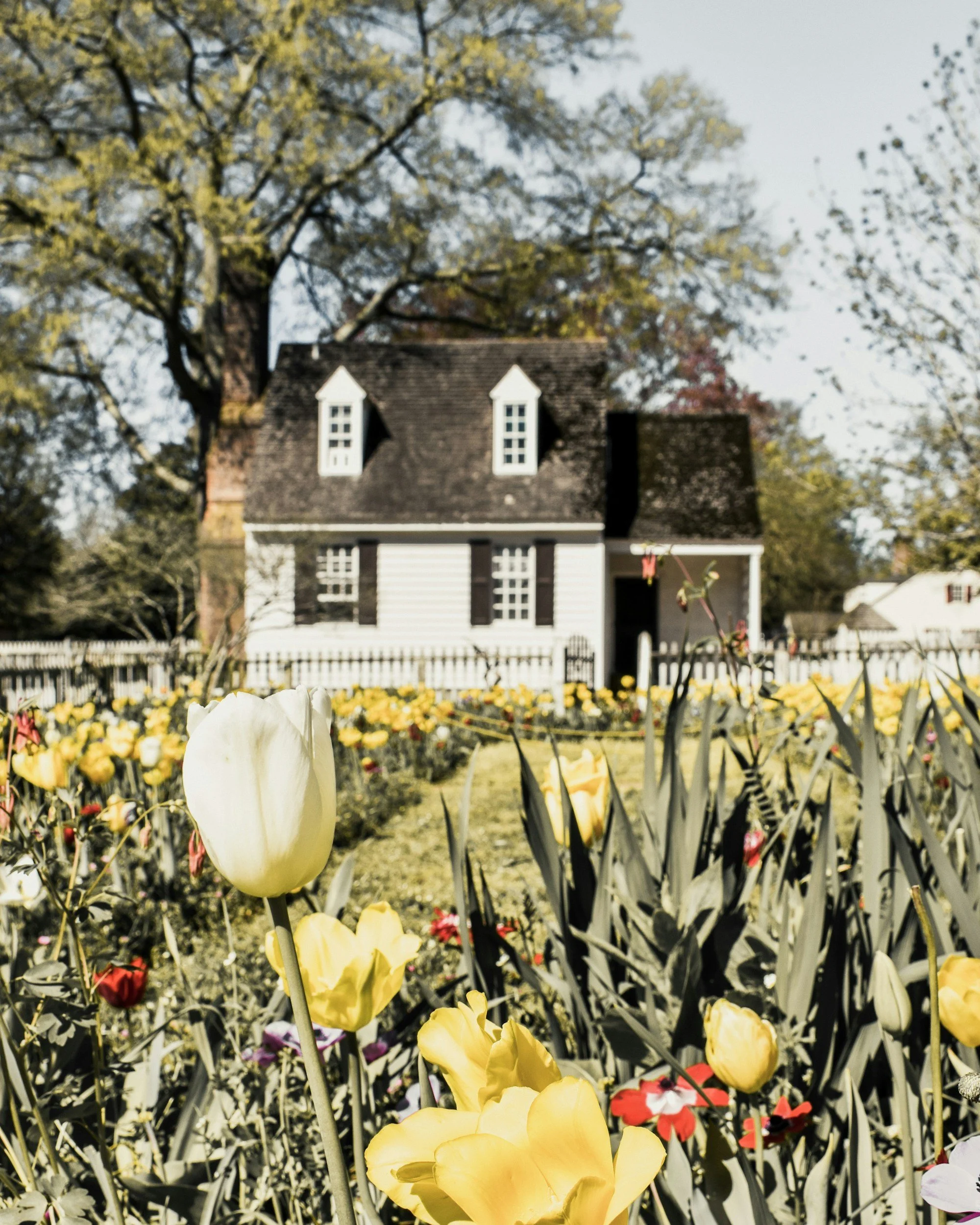 Virginia Hospitality CARavan