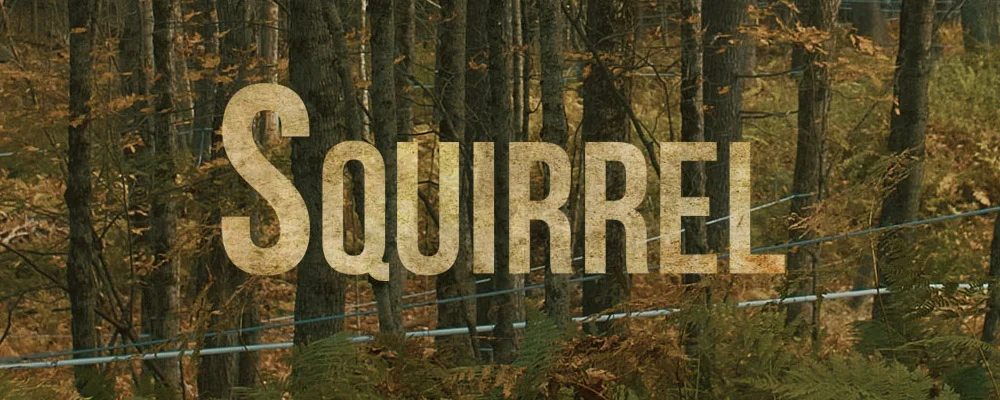 Squirrel.jpg