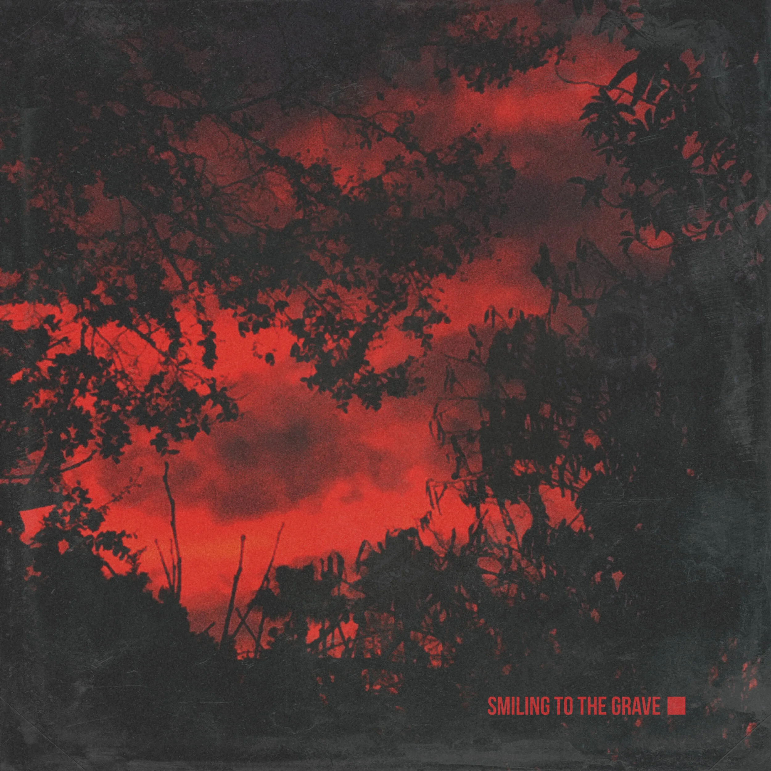 Smiling-Cover-High2.jpg