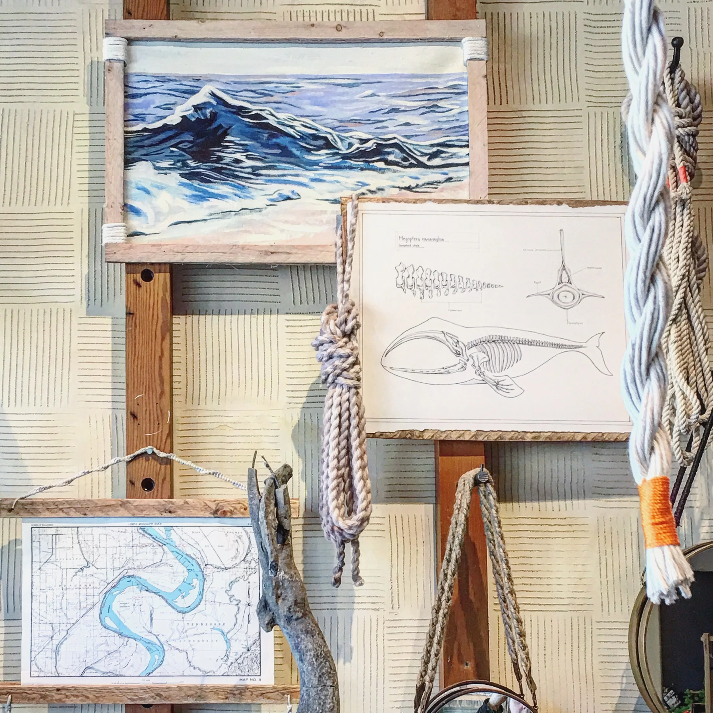 Spring 2017 in store display - Oil on canvas wave painting, ink on paper biological illustration, wooden frames by me
