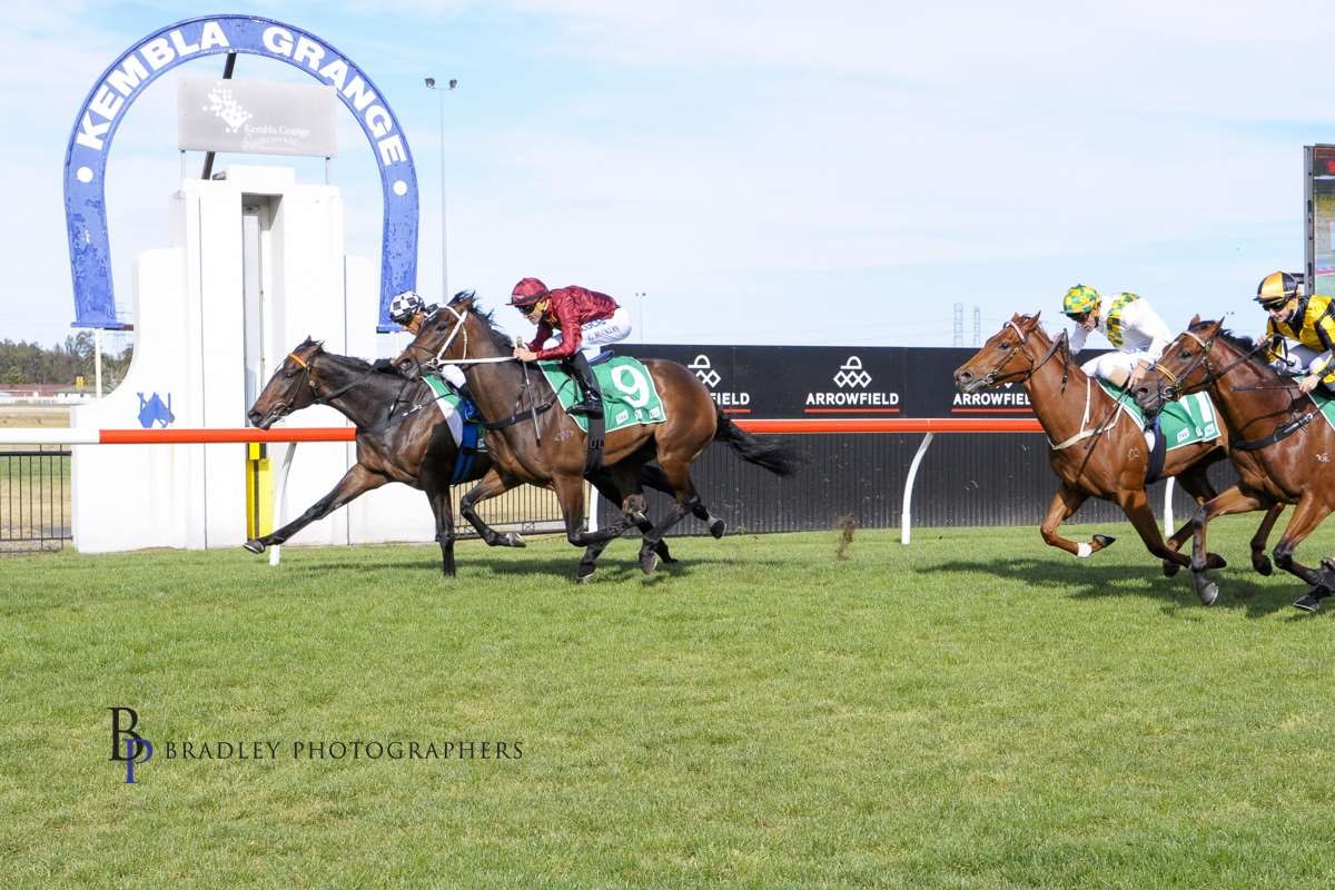 Sky Boy's debut win before Canterbury then Flemington