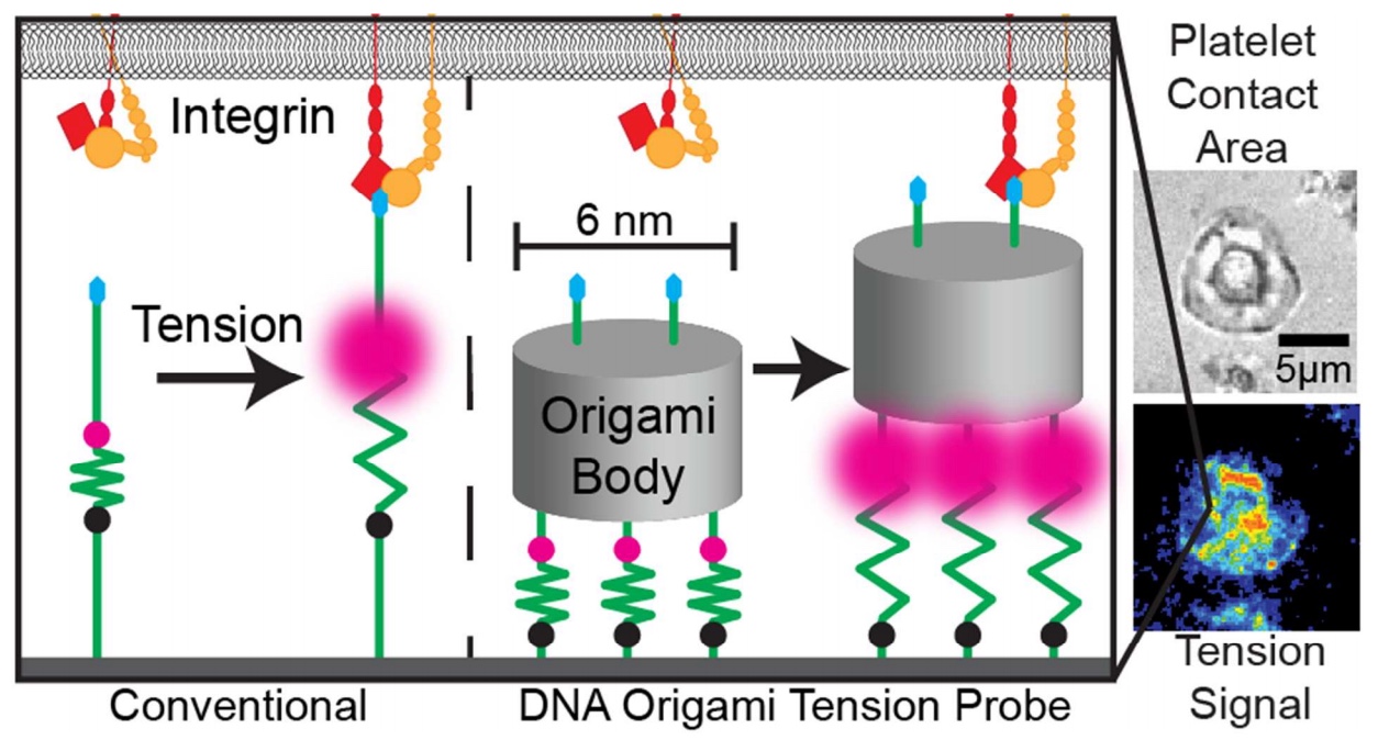 TOC nano lett origami.jpeg