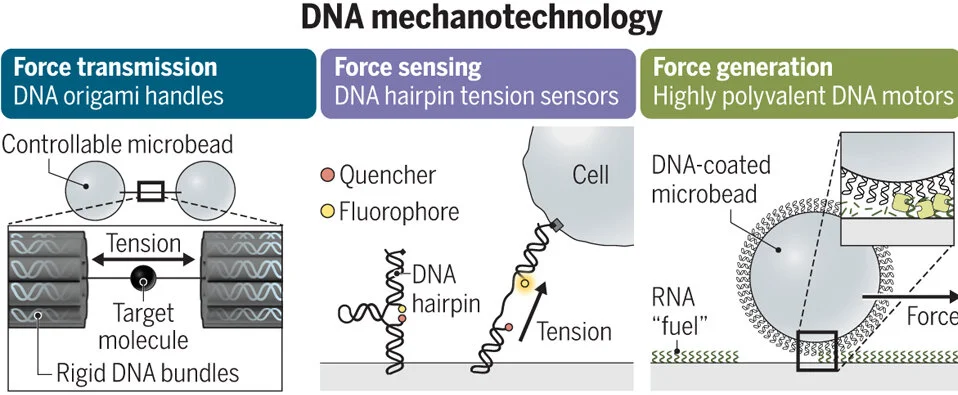 DNA mechtech graphic.jpg