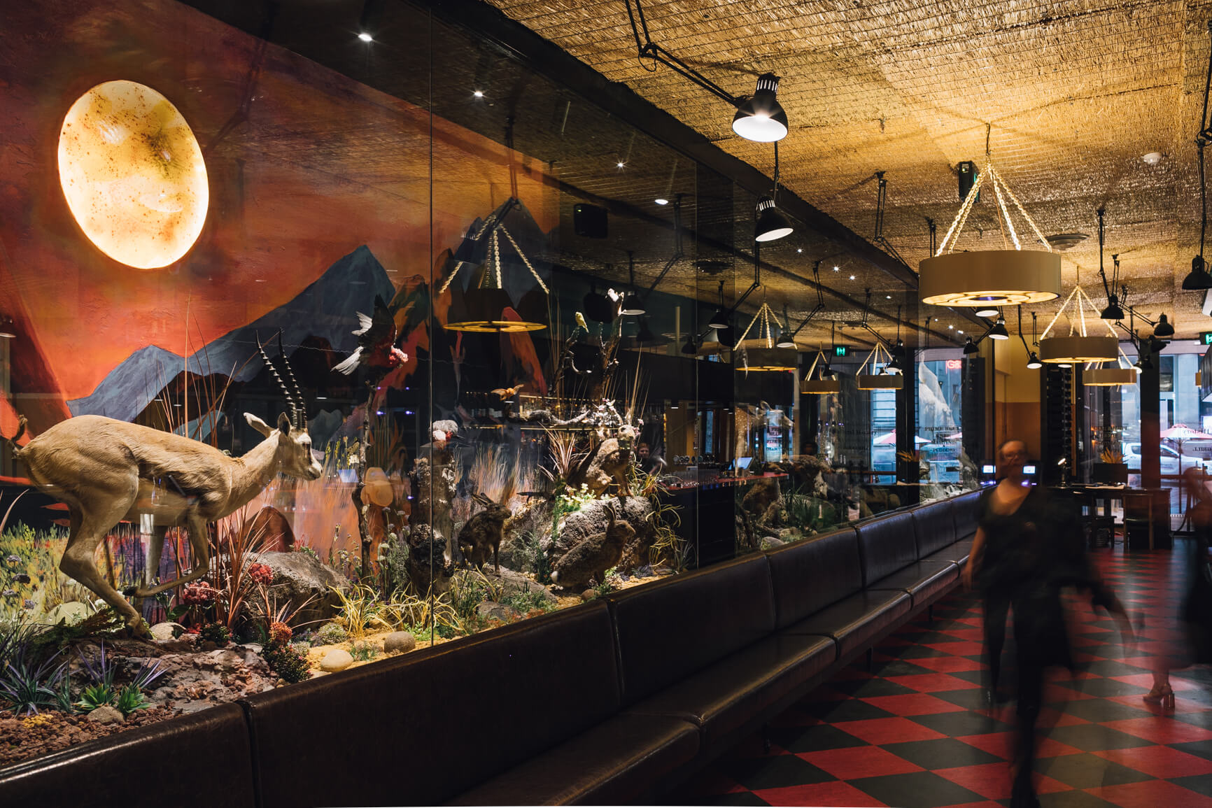 Natural History Public Bar