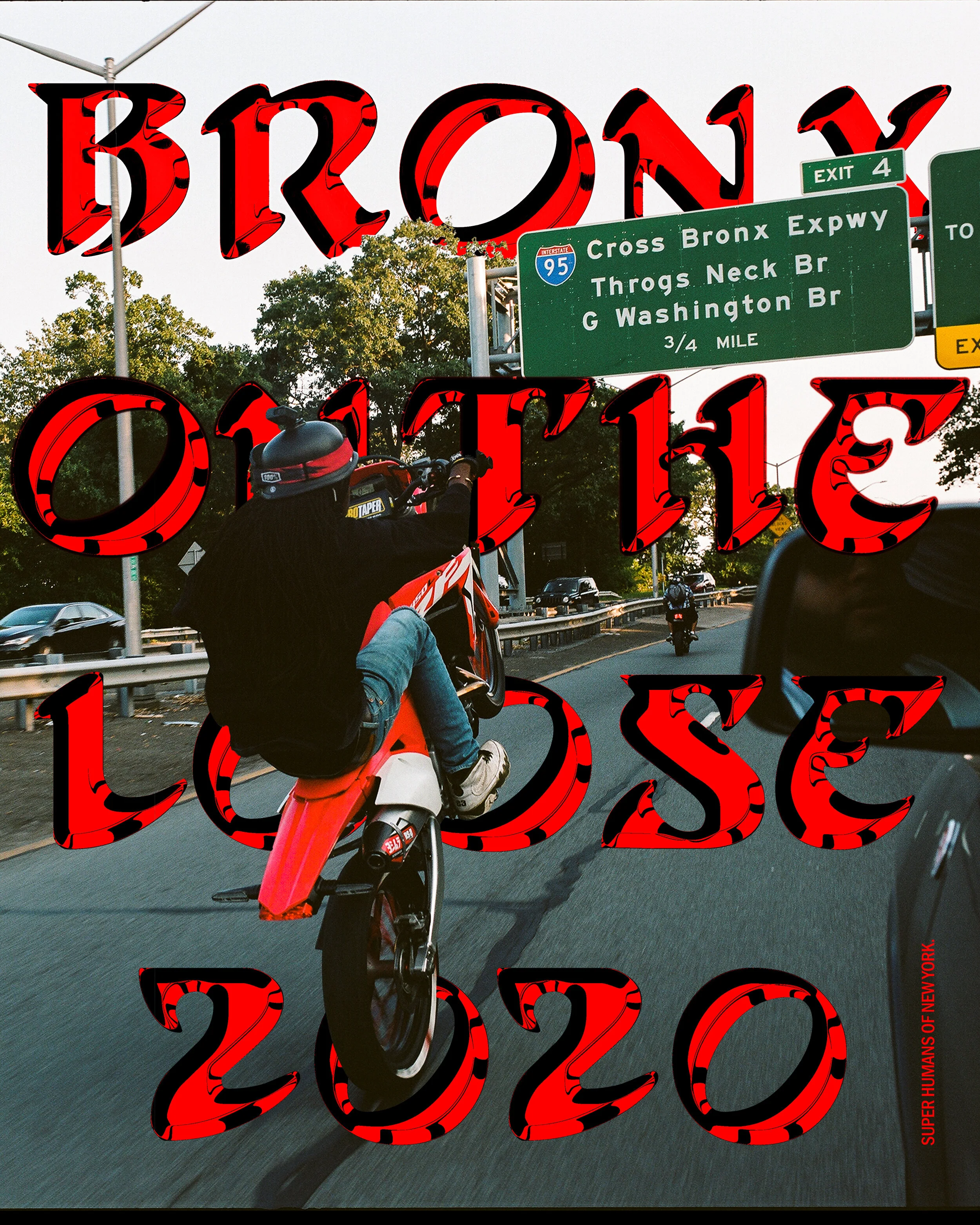 Bronx-1.jpg