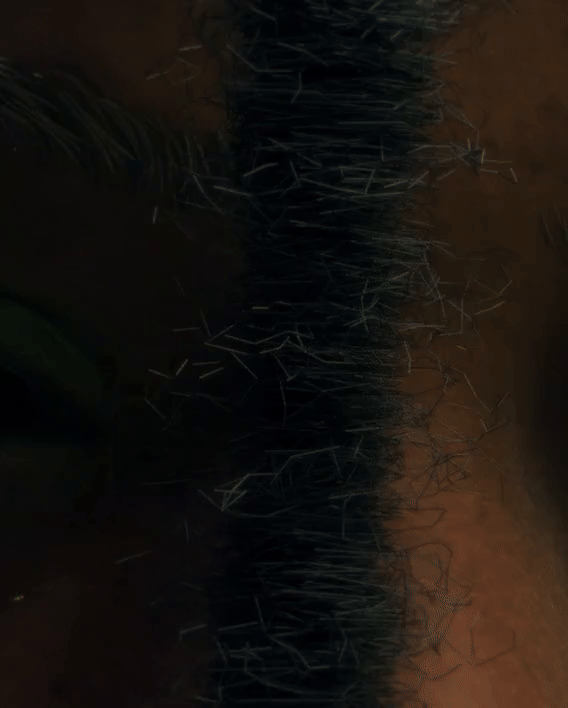 MOENYSIGN2-ezgif.com-video-to-gif-converter.gif
