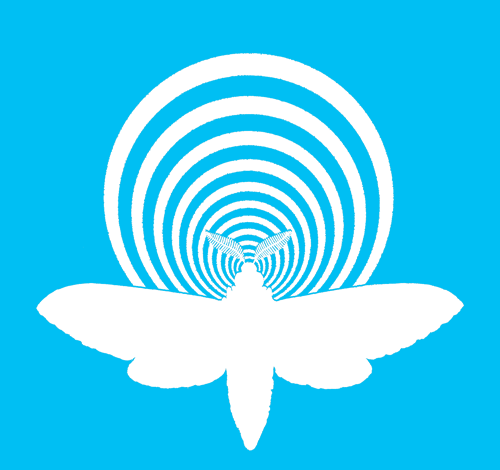 Super Moth Pass 2019.png