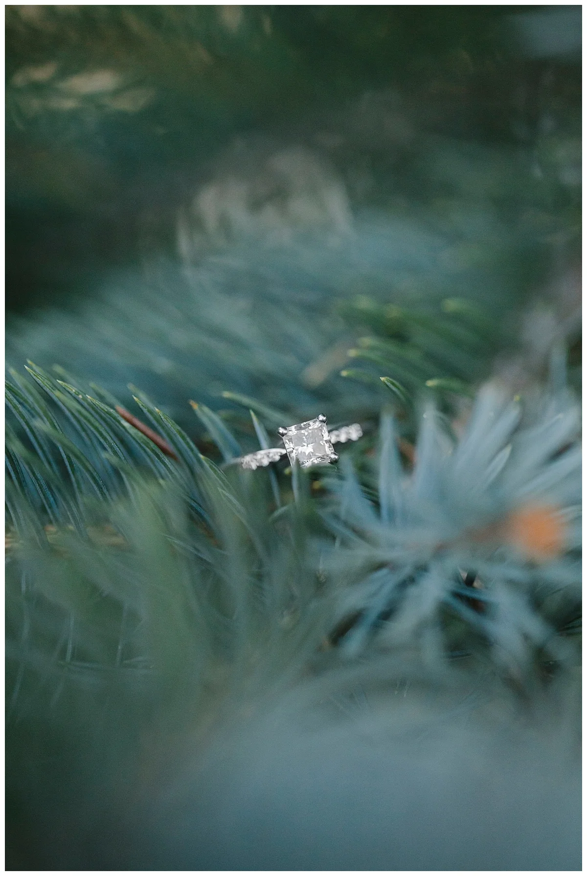 bphotography_winter_siouxfallsweddingphotographer_halfbakedengagementsession_0010.jpg