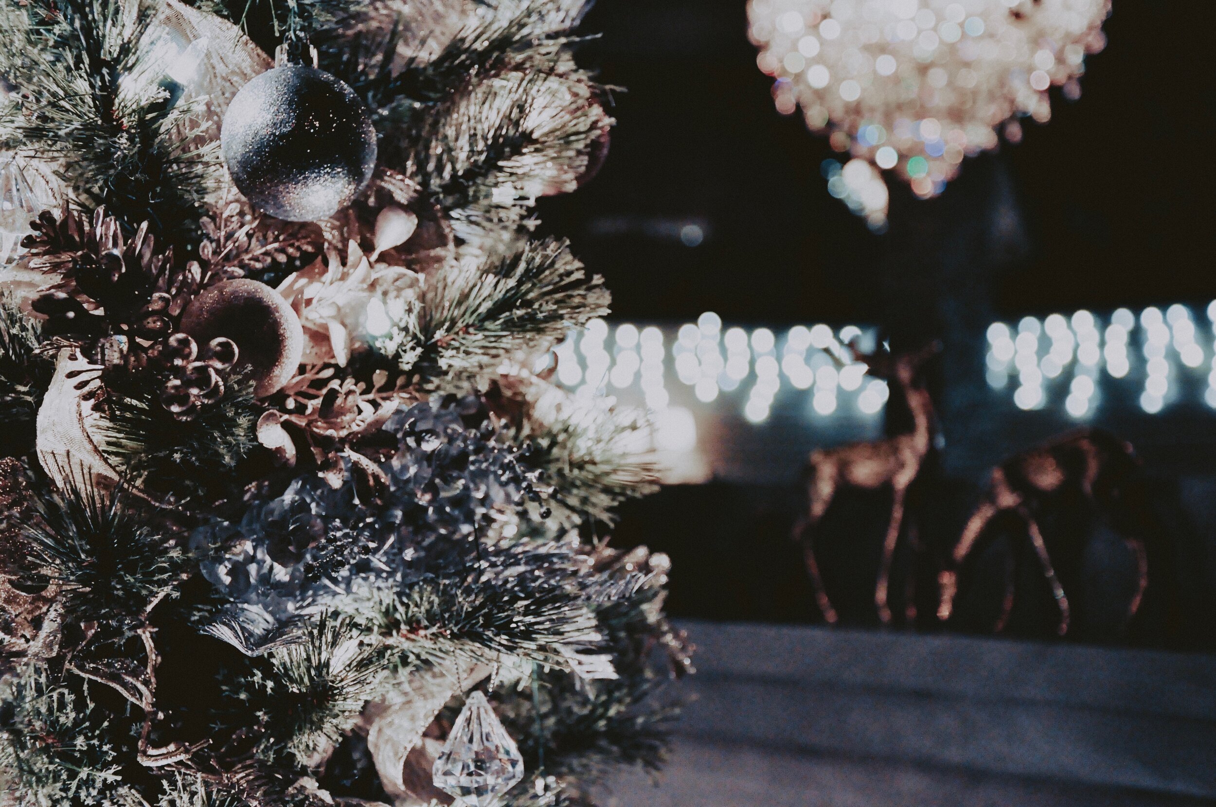 Brass Reindeer During Christmas Pic.JPG