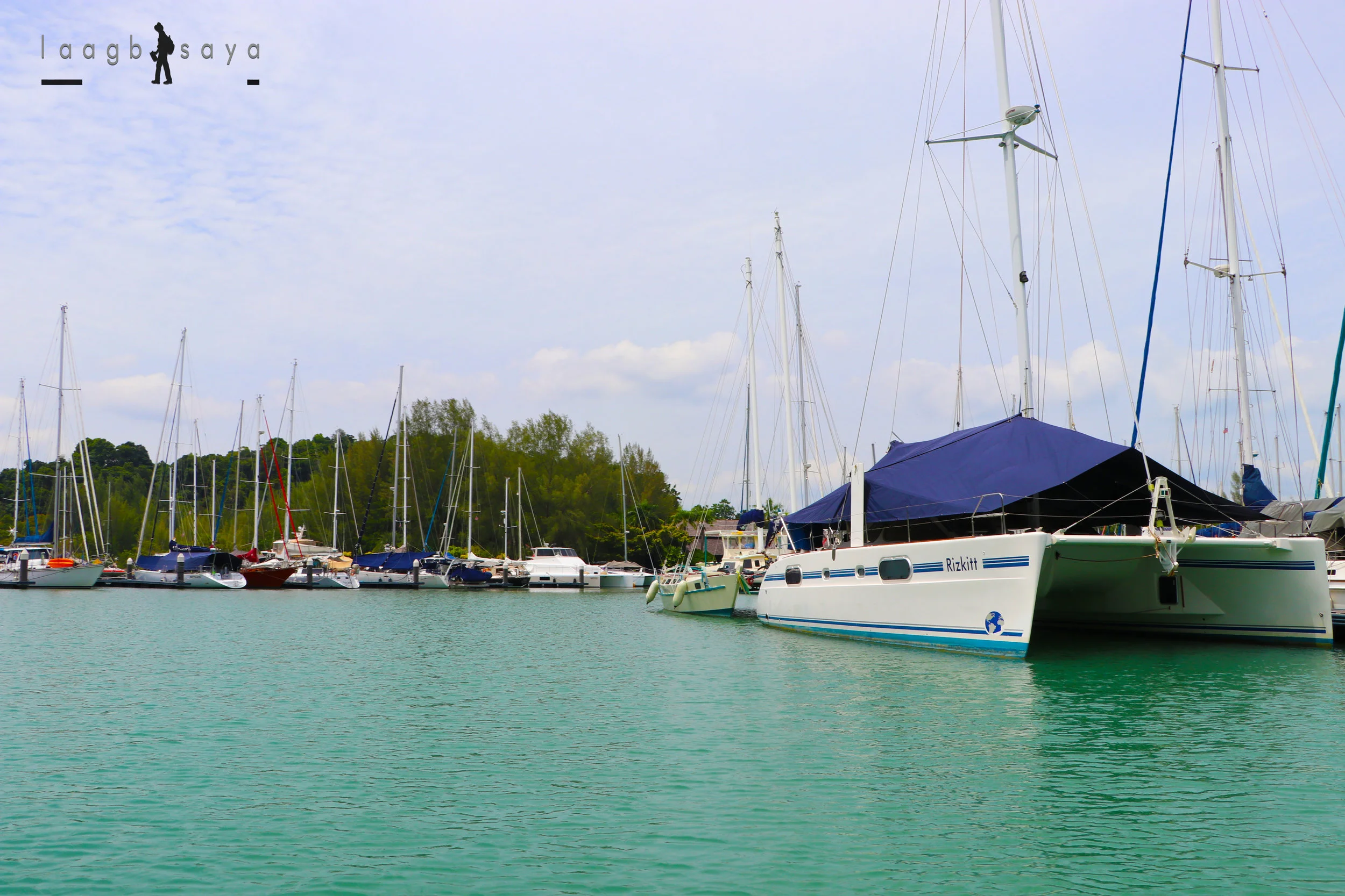 IMG_0004_copy.jpg