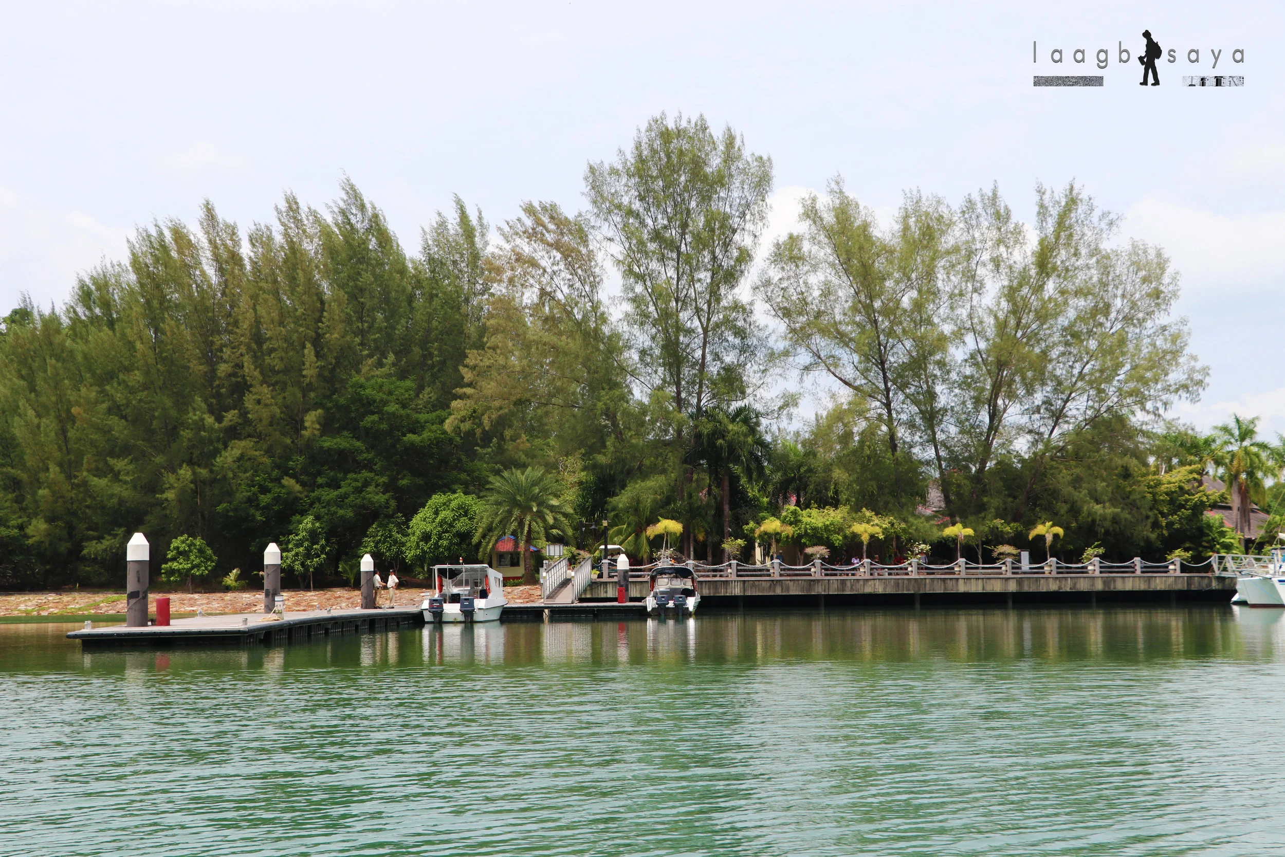 IMG_0007copy.jpg