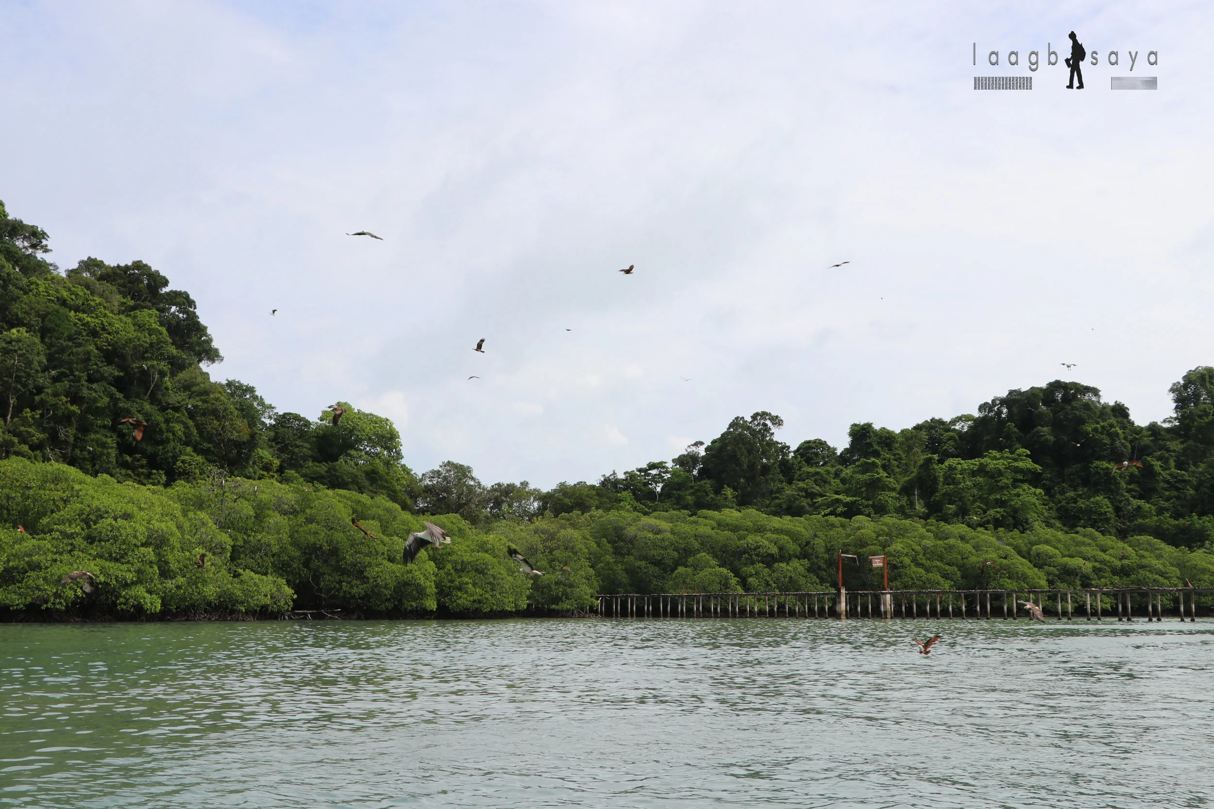 IMG_0136_copy.jpg