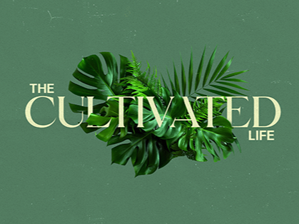 The Cultivated Life: Rain