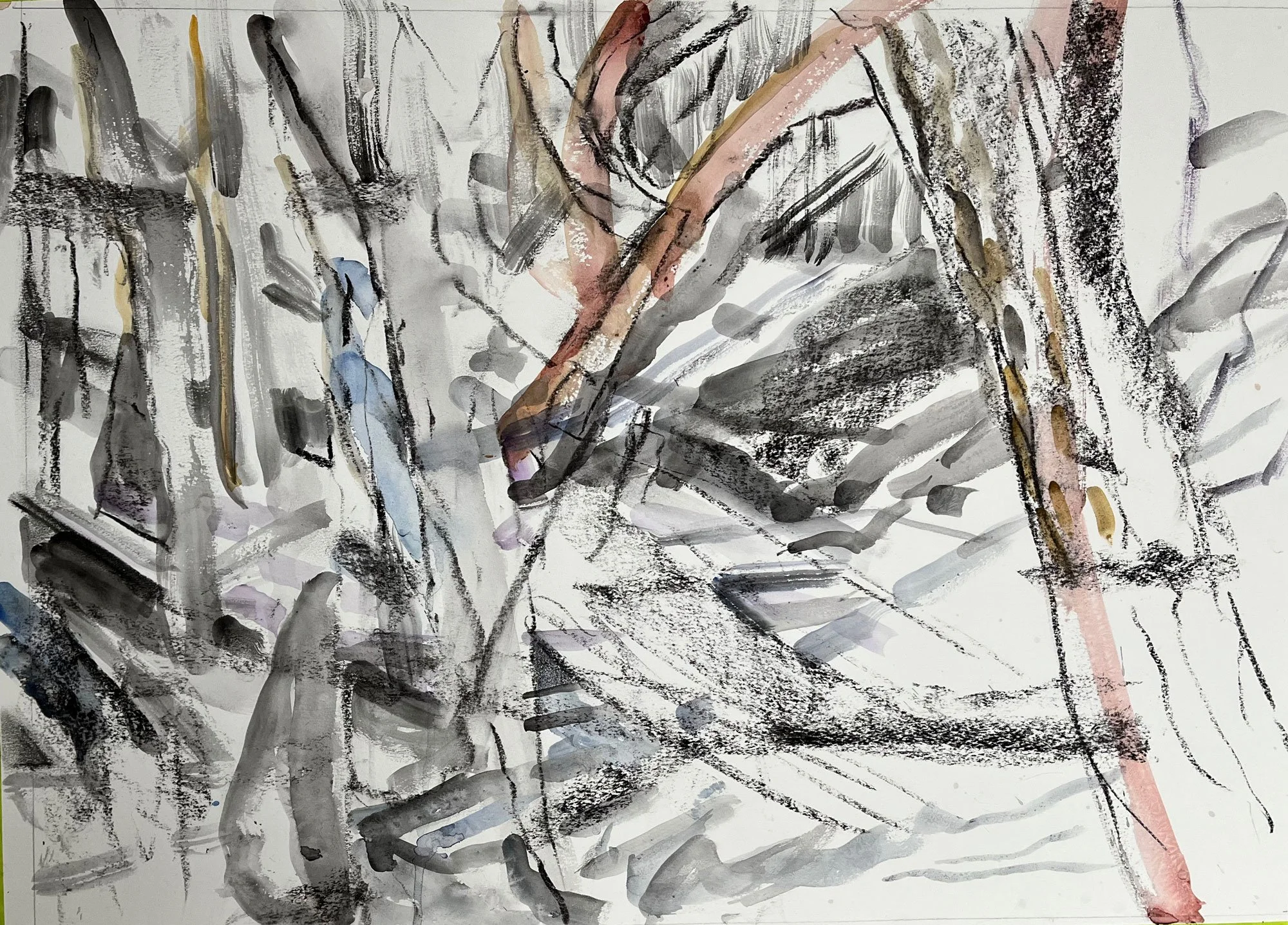 Hugo's Woods II, a black and white ink drawing, with swashes of color, by Thomas Joseph