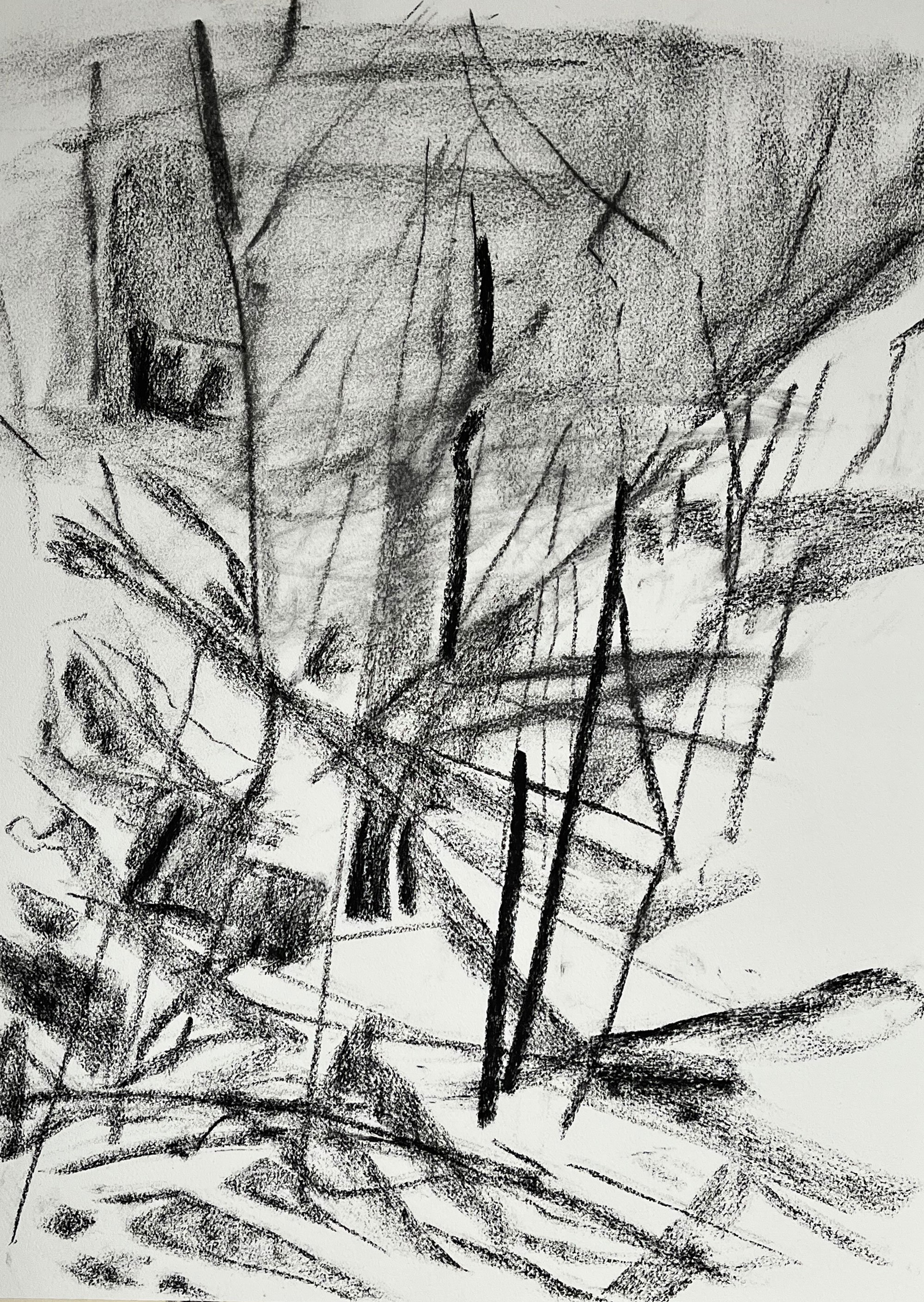 Hugo's Wood, a black and white drawing by Maine-based abstract expressionist Thomas Joseph