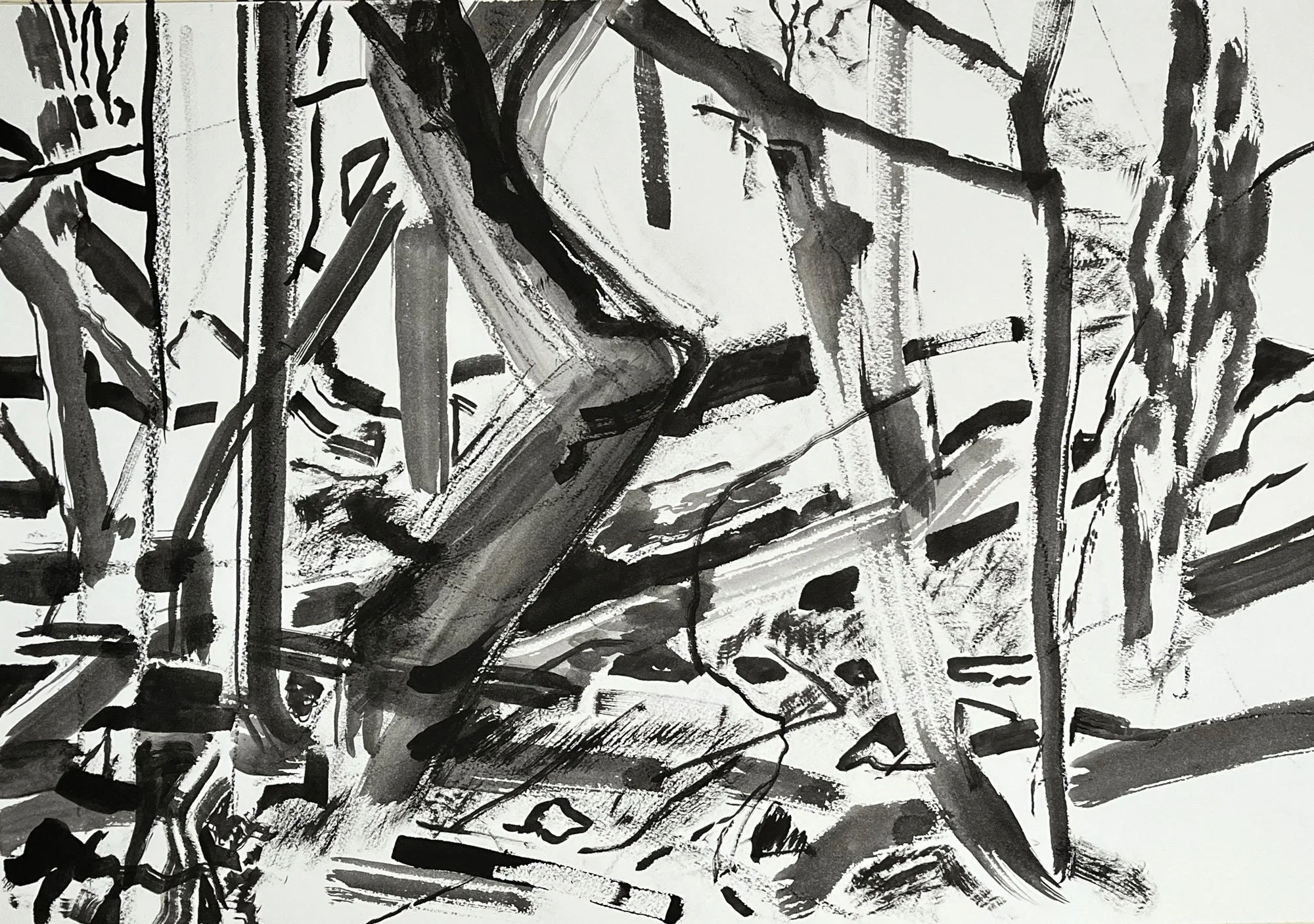 Woods in Winter, a black and white ink drawing by Maine-based painter Thomas Joseph.