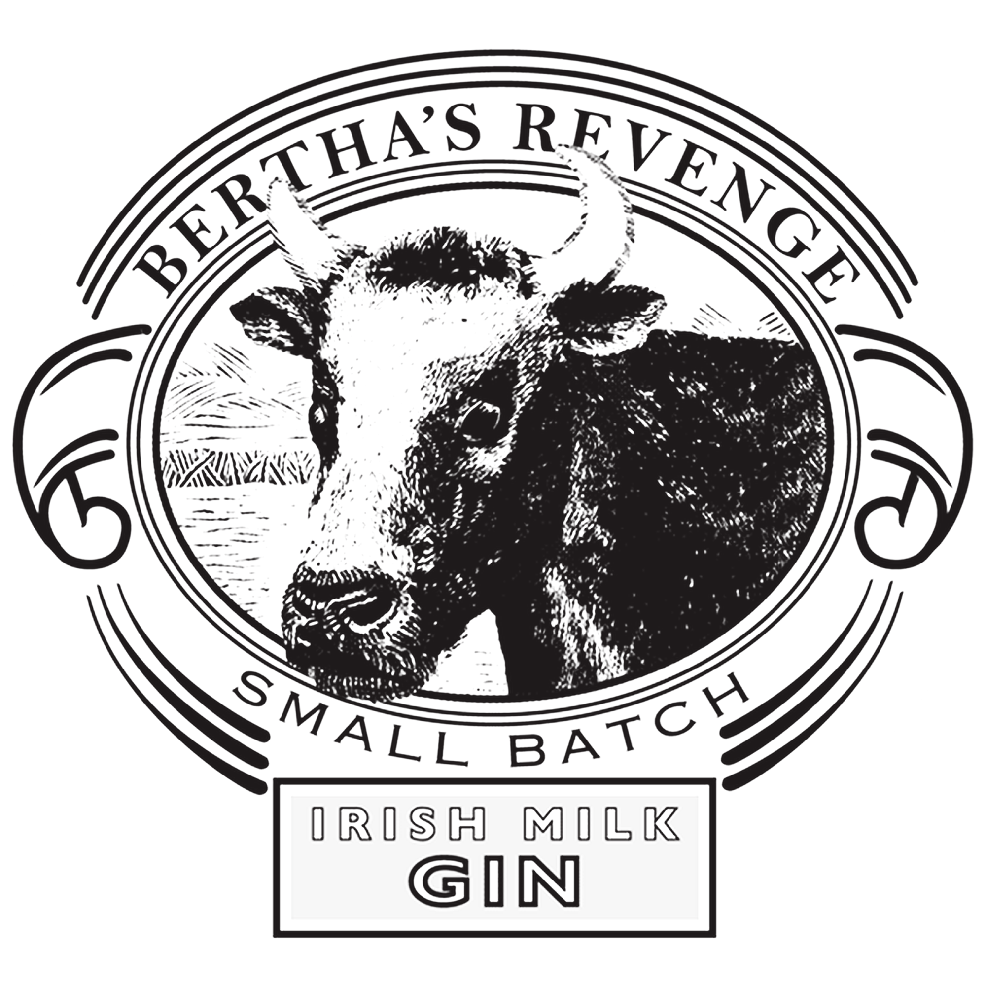 Ballyvolane House Spirits »