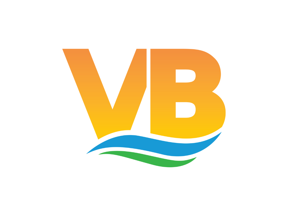 VB logo.png