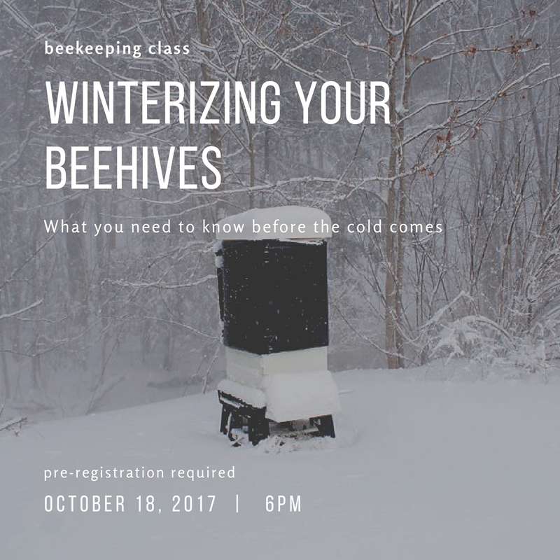 Beekeeping Class - Winterizing Your Beehives