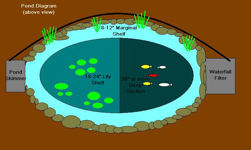 pond_diagram_above copy.jpg