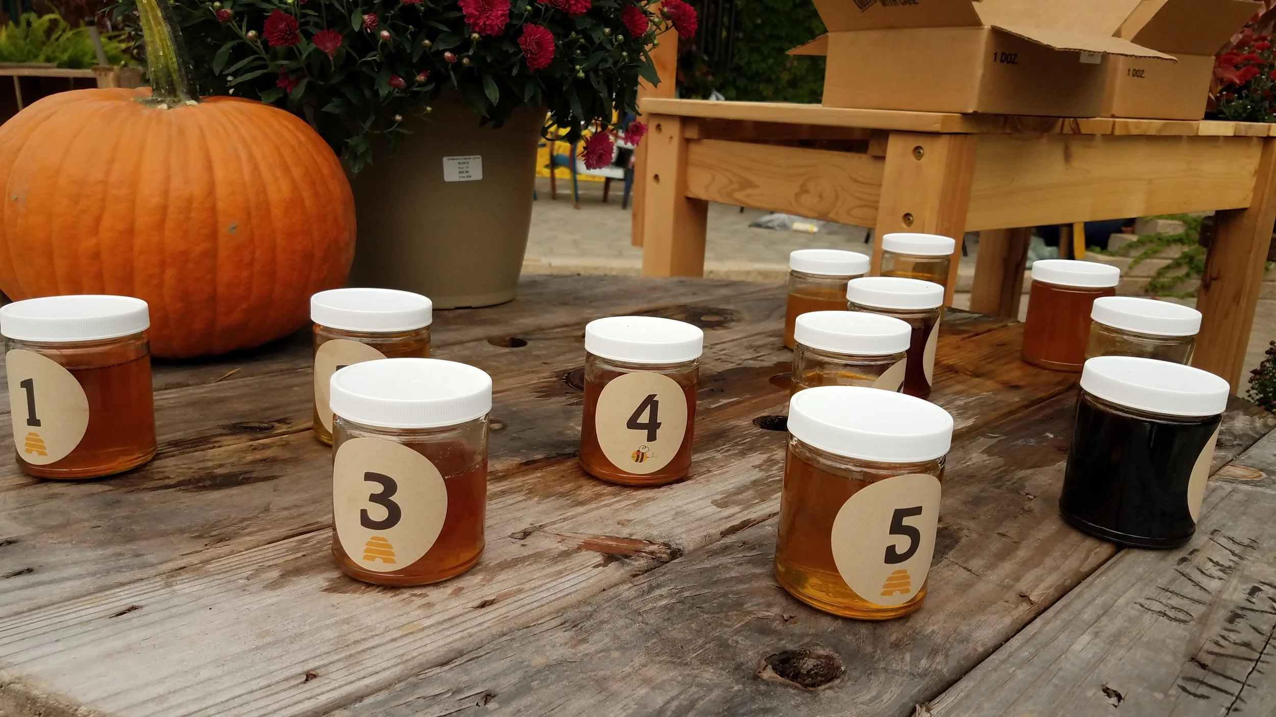 Some of the samples on display for voting throughout the weekend.